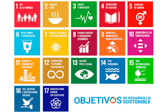  Objetivos de Desarrollo Sostenible (ODS)